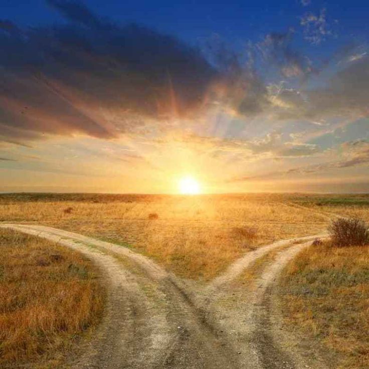 Discovering Your Purpose