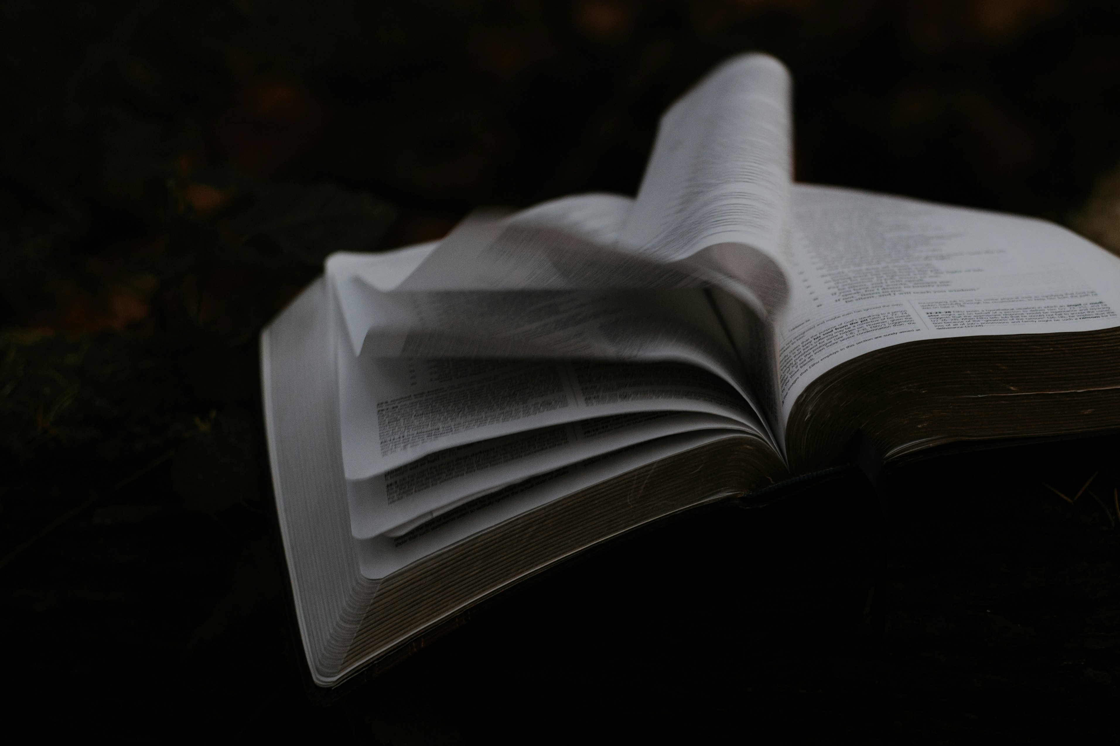 Christian fellowship